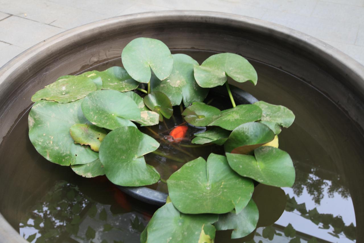 Zhantan Courtyard Hotel Beijing Luaran gambar