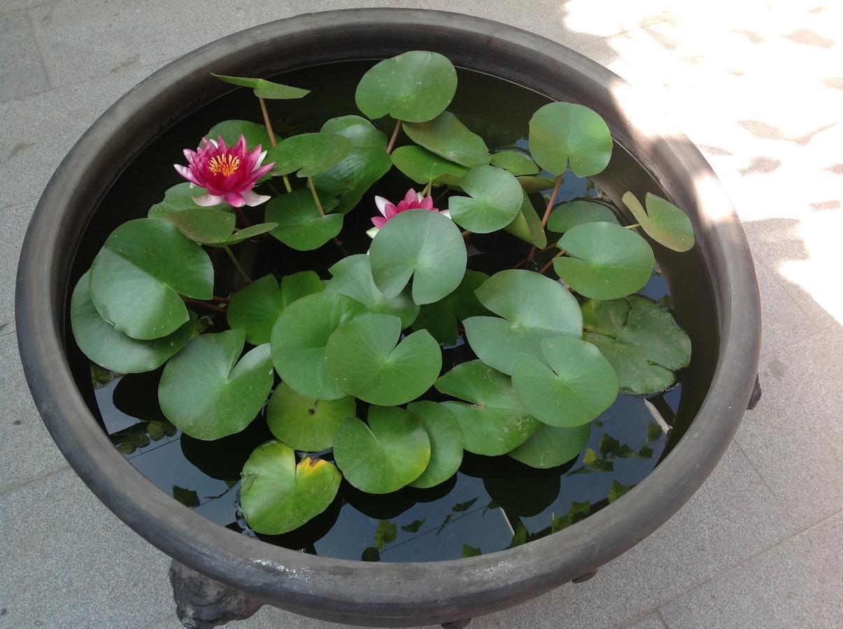 Zhantan Courtyard Hotel Beijing Luaran gambar