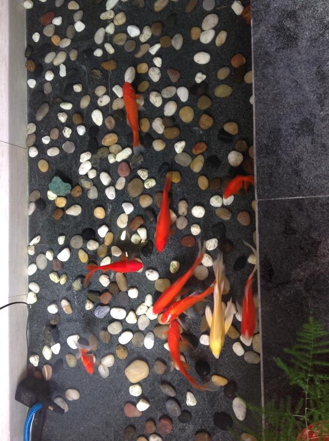Zhantan Courtyard Hotel Beijing Luaran gambar